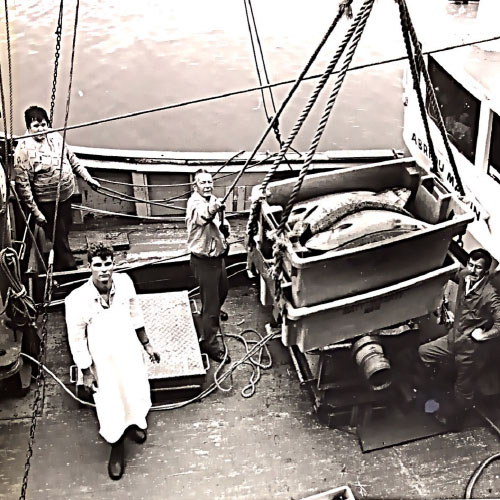 Michael Wright Howth Fishing Trawler Salmon Catch Michael Wright Howth Fishing Trawler Salmon Catch